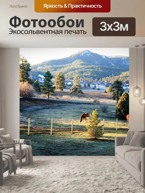 Фотообои Колорадо