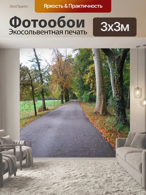 Фотообои Улица