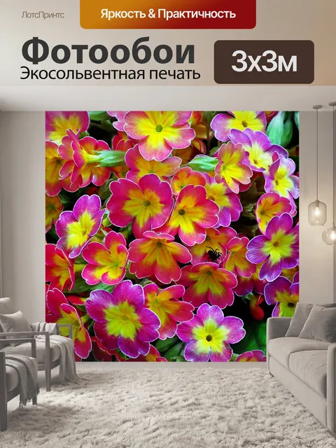 Фотообои Первоцветы