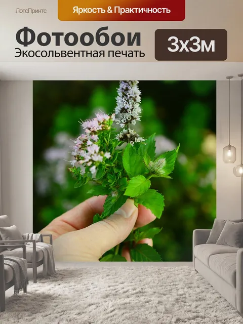 Фотообои Кулинарные травы