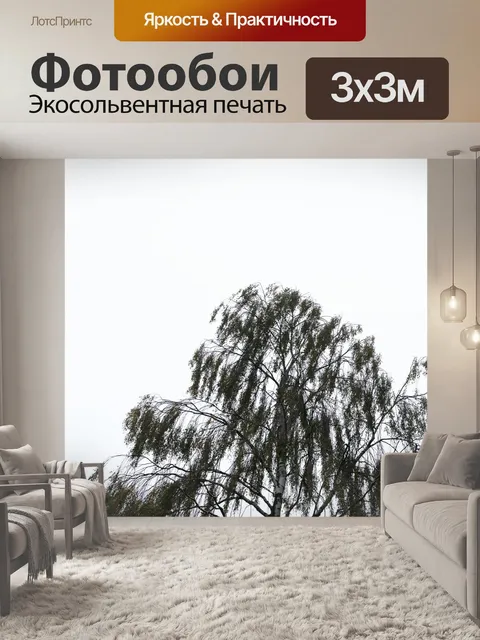 Фотообои Береза