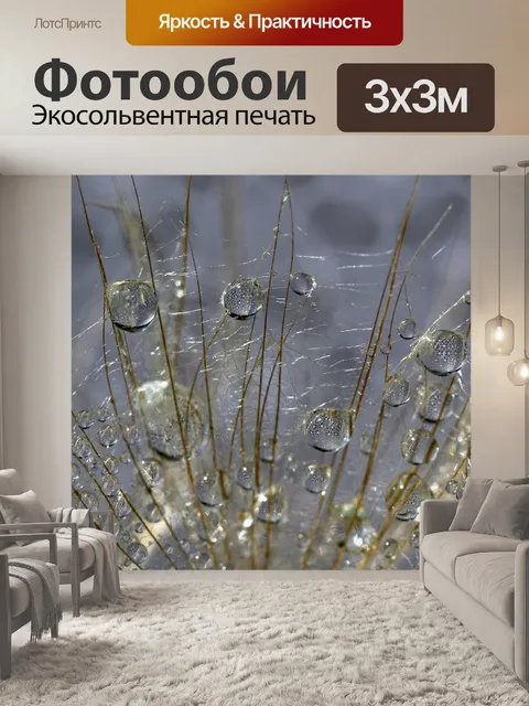 Фотообои Одуванчик