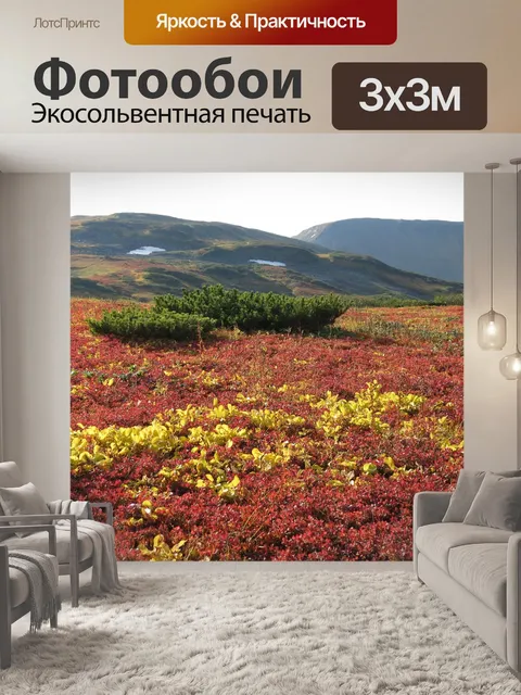 Фотообои Горная тундра