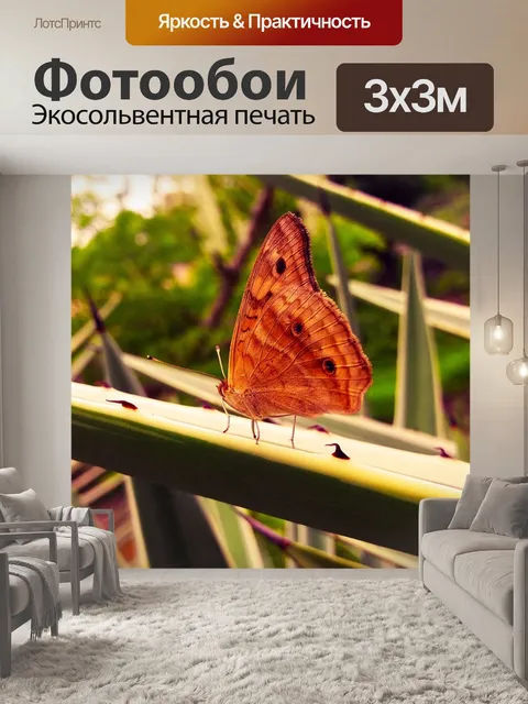 Фотообои Бабочка