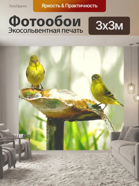 Фотообои Птицы