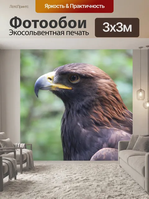 Фотообои Золотой орёл