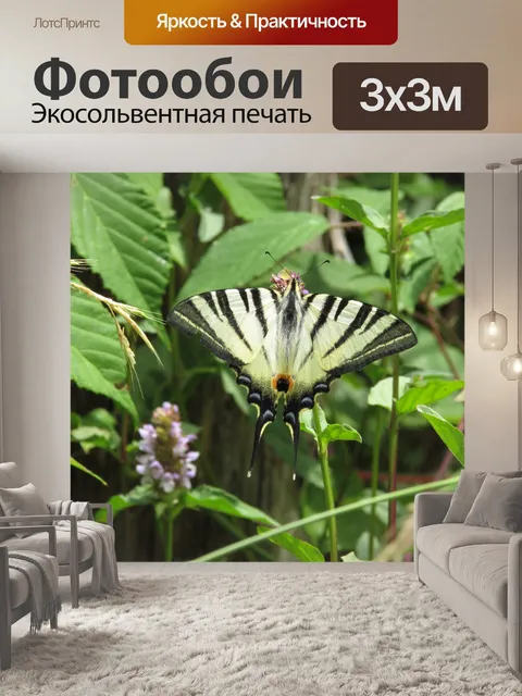Фотообои Бабочка