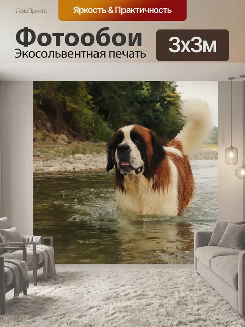 Фотообои Tor