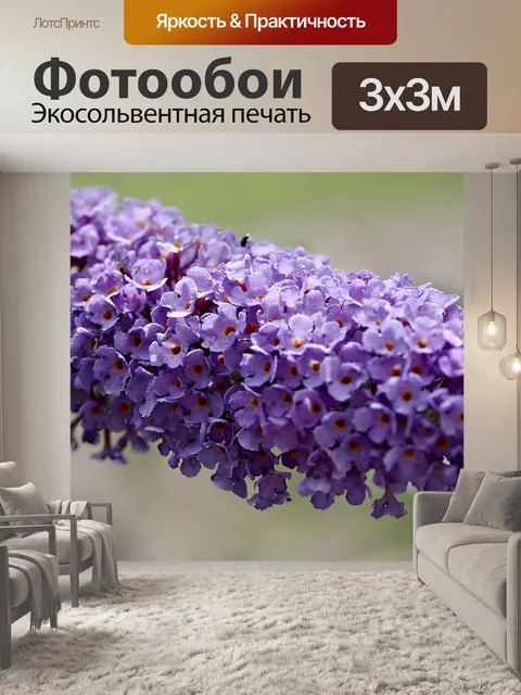 Фотообои Цветы
