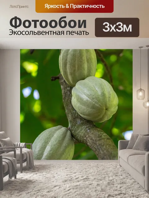 Фотообои Растущие какао-бобы