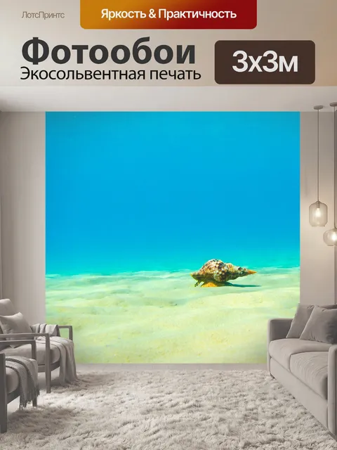 Фотообои тритон моллюск