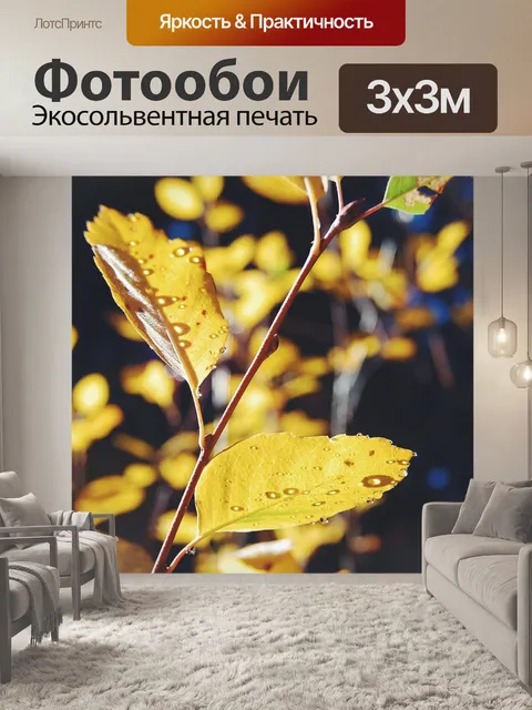 Фотообои Осень