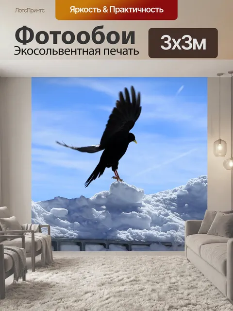 Фотообои Зима