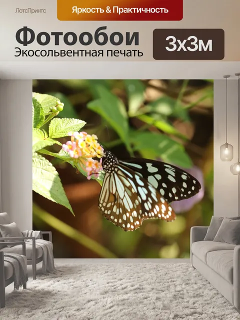 Фотообои Бабочка