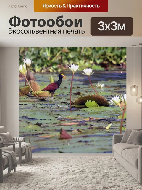 Фотообои Птица