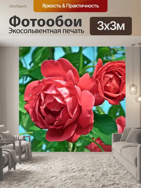 Фотообои Розы