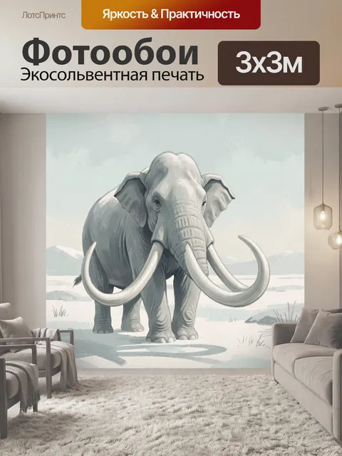 300 × 300 см · Экосольвентная печать