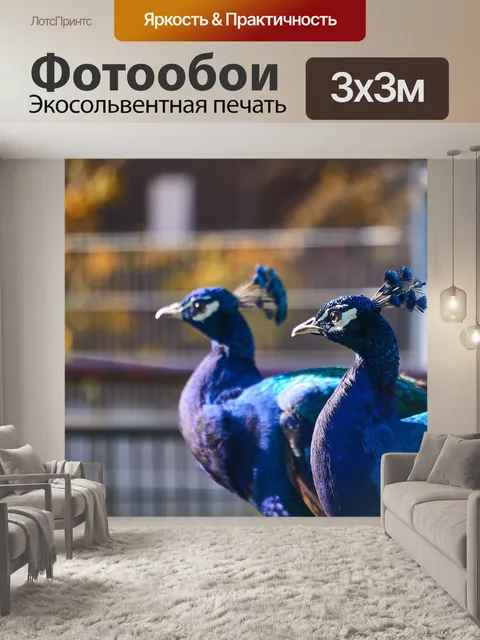 Фотообои Павлин