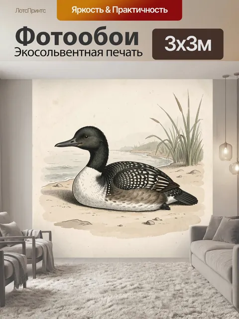 Фотообои Дикая утка у берега