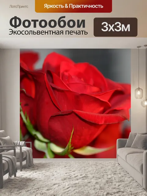 Фотообои Цветы