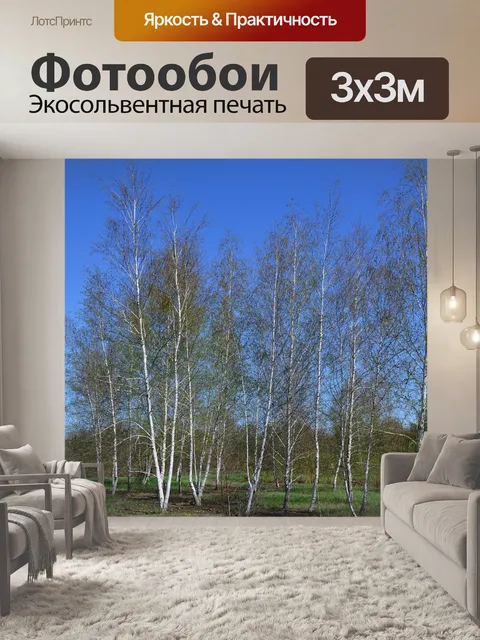 Фотообои Береза