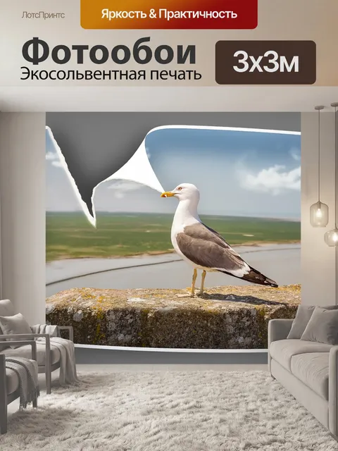 Фотообои Птица