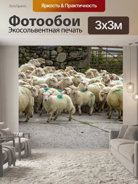Фотообои Овца