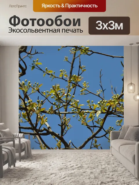 Фотообои Цветы