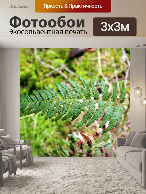 Фотообои Папоротники