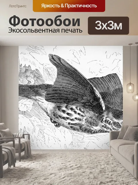 Фотообои Красное Крыло