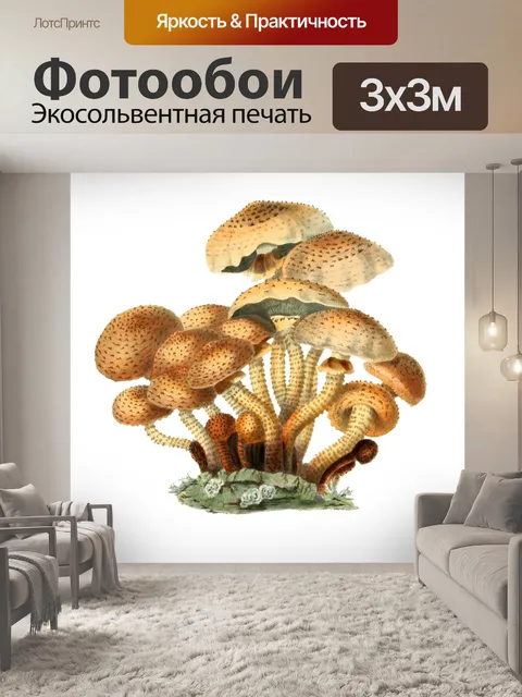 Фотообои Грибы Винтажное Искусство