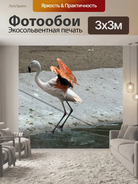 Фотообои Розовый Фламинго