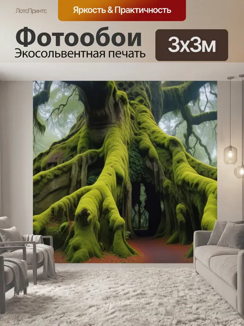 Фотообои мох на старых деревьях в тишине