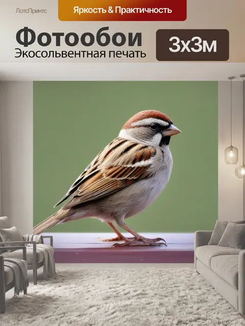 Фотообои на лавке