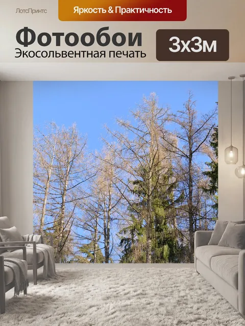 Фотообои Деревья