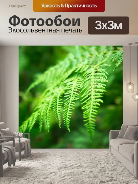 Фотообои Листья папоротника