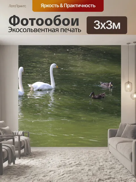 Фотообои Лебедь