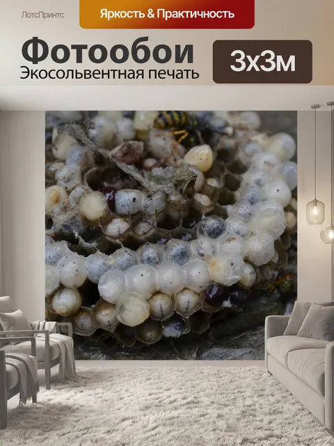 Фотообои Природа