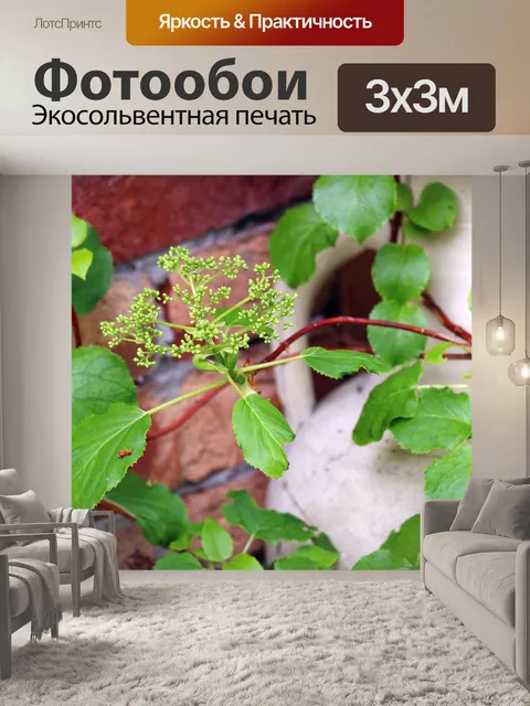 Фотообои Терракота