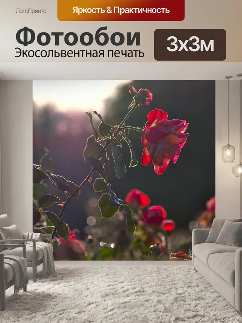 Фотообои Розы