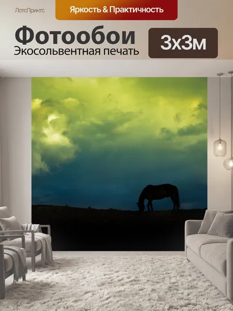 Фотообои Лошадь
