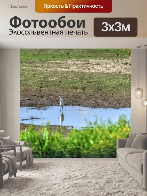 Фотообои Снежная цапля в Ривербанке