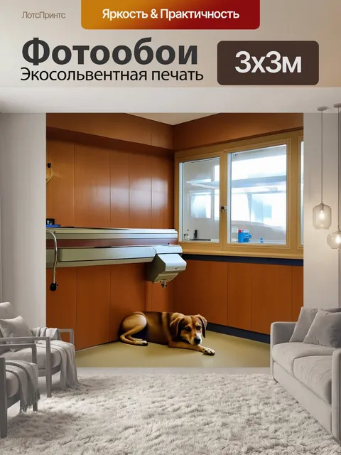 Фотообои теплая и уютная ветеринарная клиника с оптически-защитными стеклами, где собака лежит под анестезией