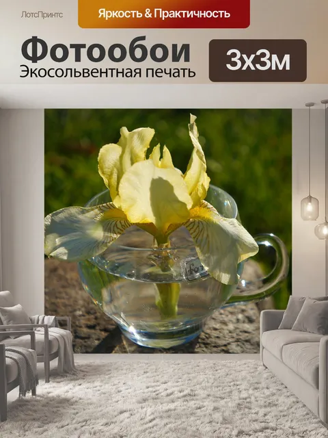 Фотообои Природа