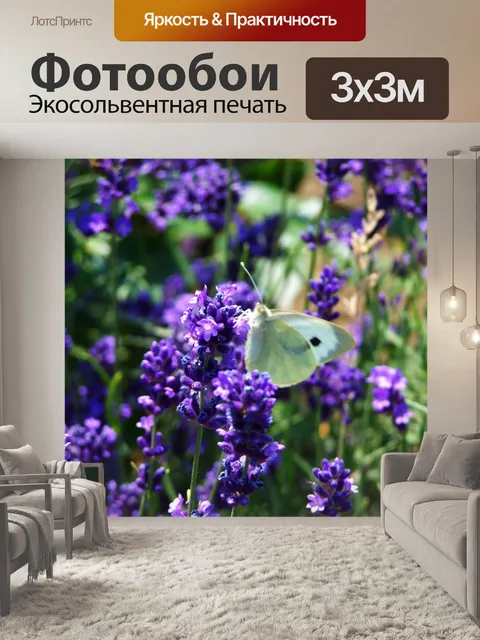 Фотообои Лаванда