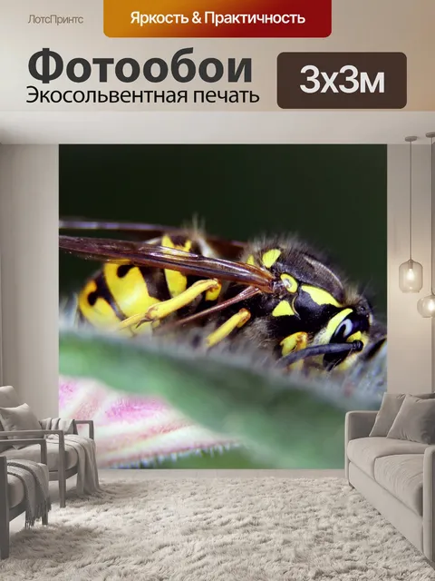 Фотообои Цветок