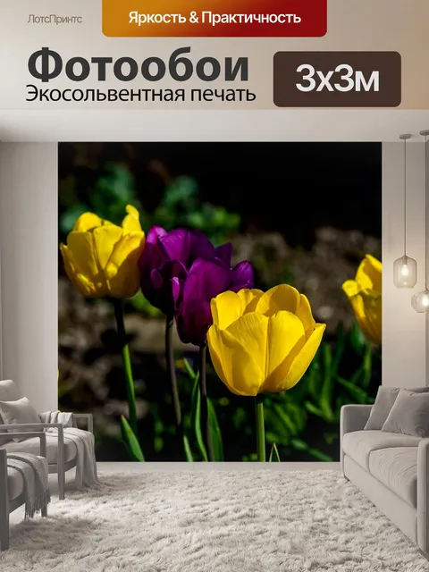 Фотообои Тюльпаны