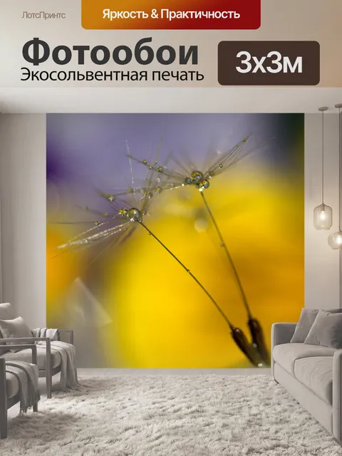 Фотообои Одуванчик