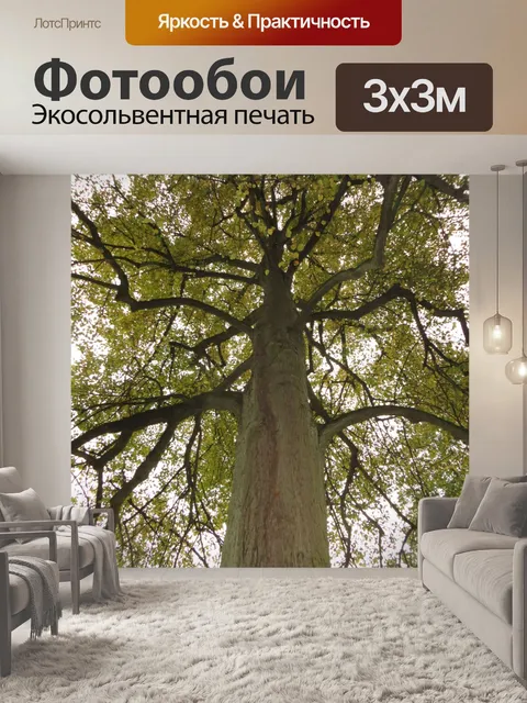 Фотообои Посмотрите на дерево