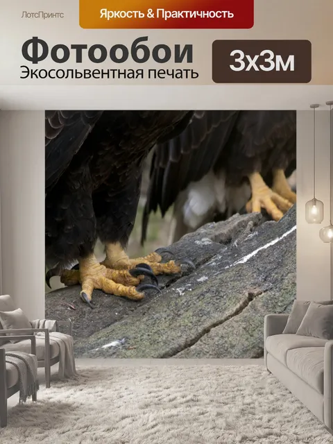 Фотообои Eagle когти